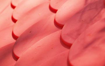 Melinbyrhedyn plastic roof costs